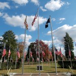 Flags in front of Charlotte Hall